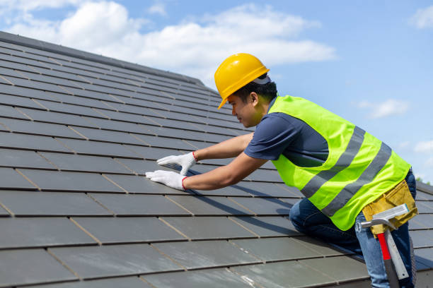 Best Roof Insulation Installation  in Lan, MI