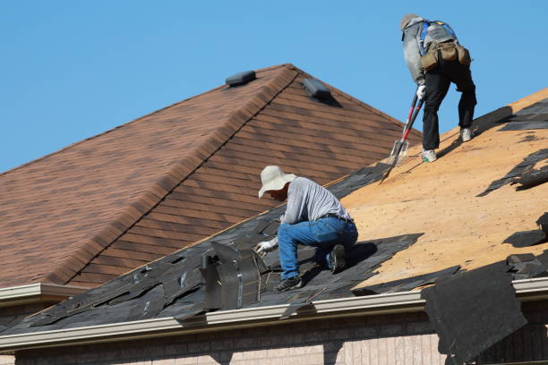 Best Commercial Roofing Services  in Lan, MI