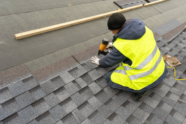 Best Metal Roofing Installation  in Lan, MI