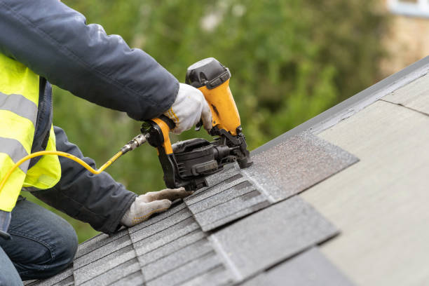 Best Roof Insulation Installation  in Lan, MI