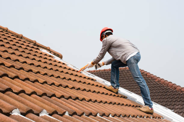 Best Roof Replacement  in Lan, MI