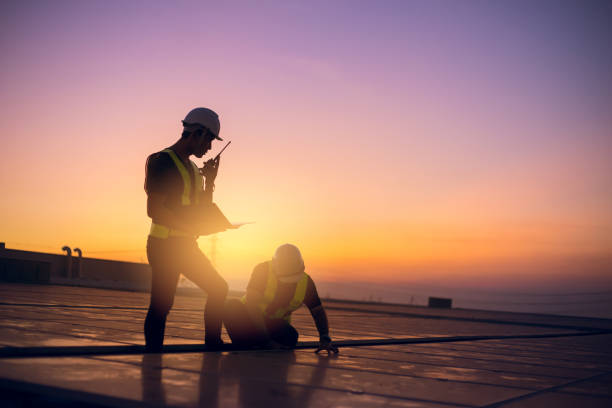 Best Roof Moss and Algae Removal  in Lan, MI