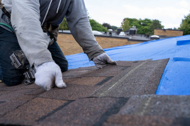 Best Roof Leak Repair  in Lan, MI