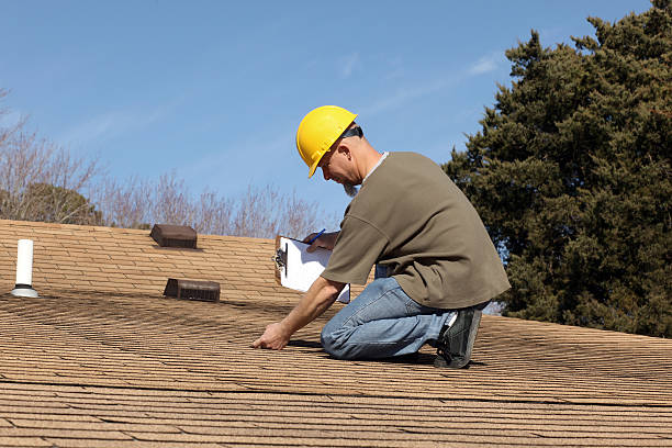 Best Storm Damage Roof Repair  in Lan, MI