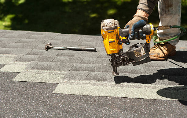 Best Metal Roofing Installation  in Lan, MI